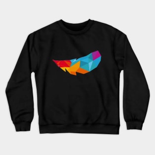 Rainbow Feather Crewneck Sweatshirt